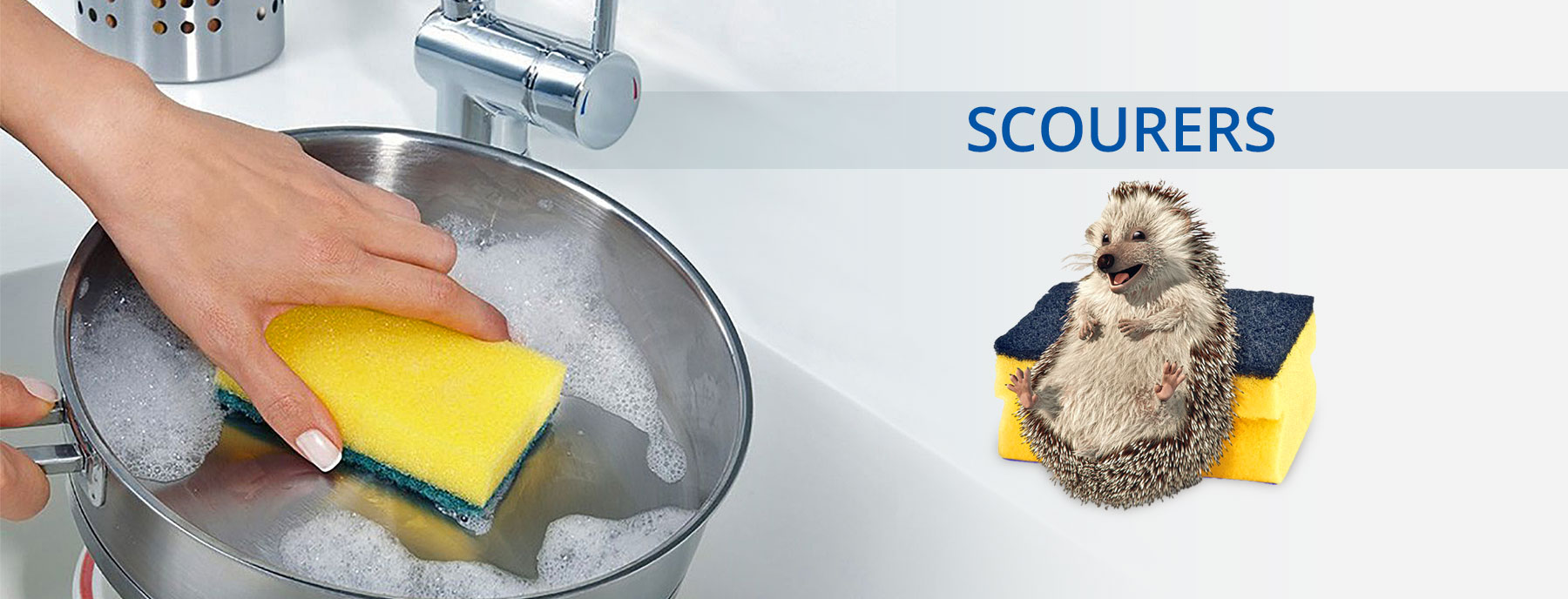 Spontex Scouring Banner